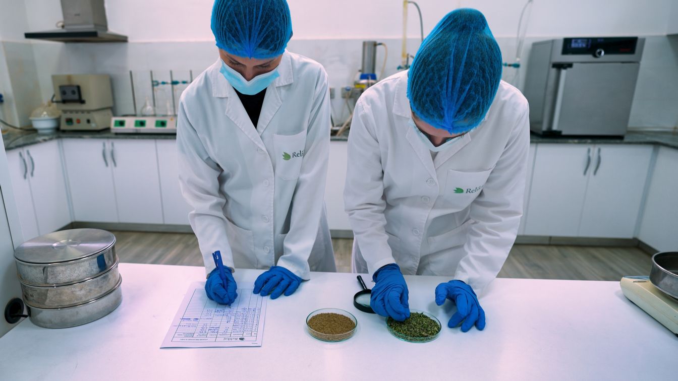 Herb processing