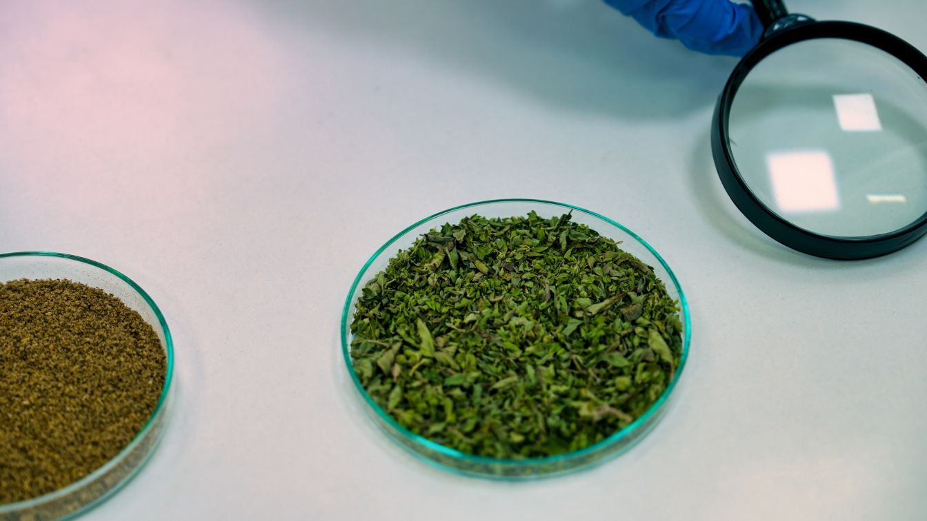Processed sage